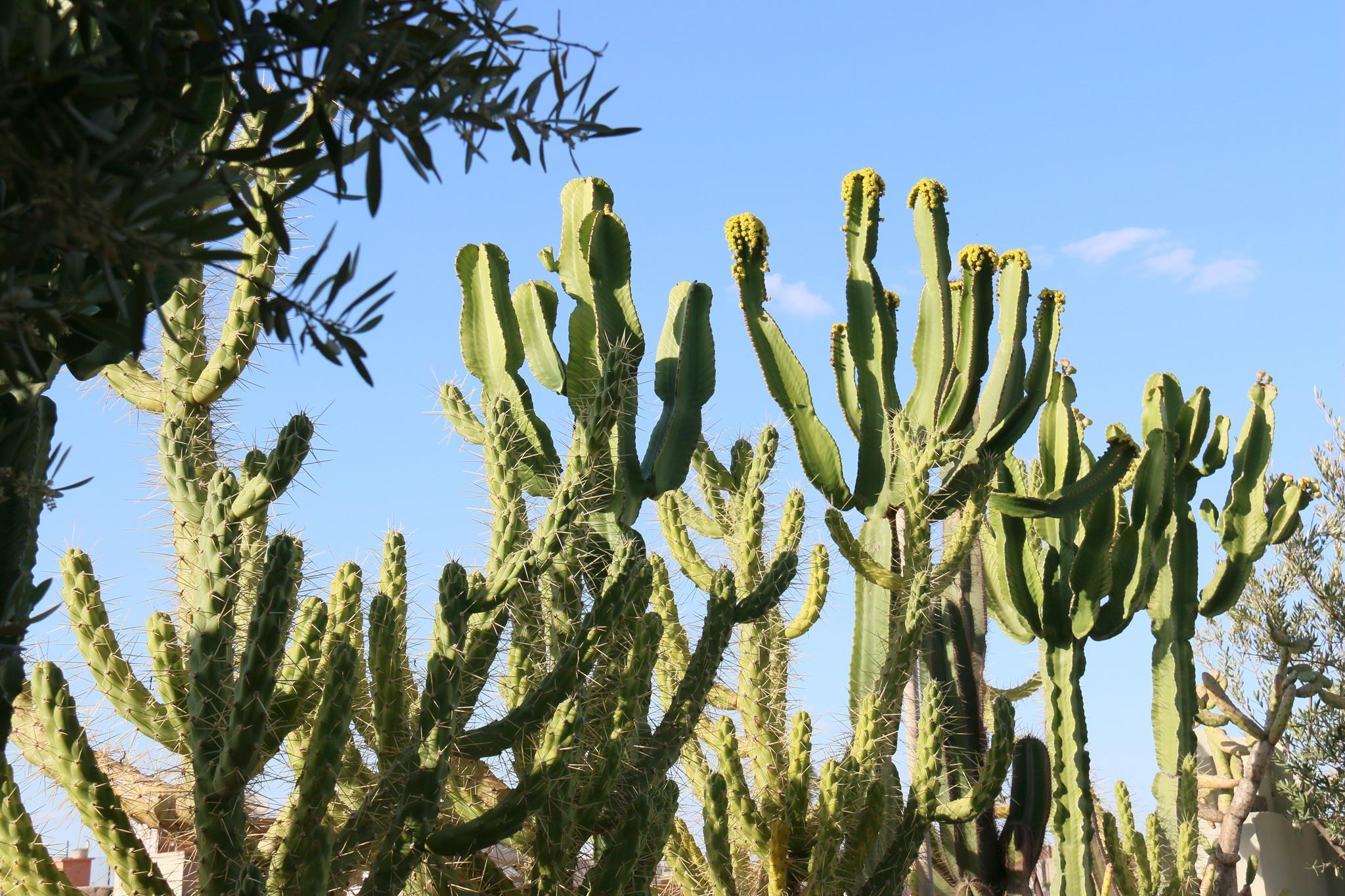 Ambre Epices Medina Riad Hotel Marrakesh Luaran gambar